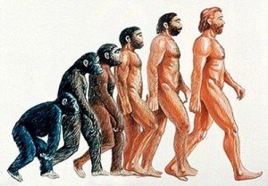 A evolução do homem e o trânsito