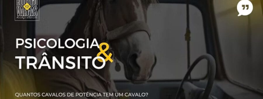 cavalos