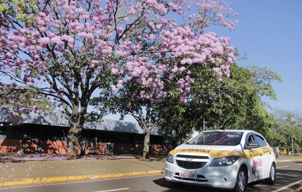 Instrutor de Deodápolis é eleito o melhor do trânsito em 2025 pelo Detran-MS