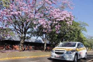 melhor instrutor de trânsito