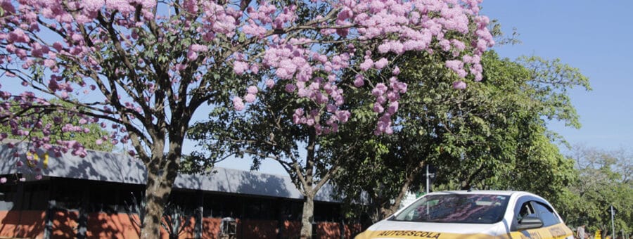 melhor instrutor de trânsito