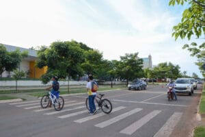 Dia Mundial da Paz no trânsito