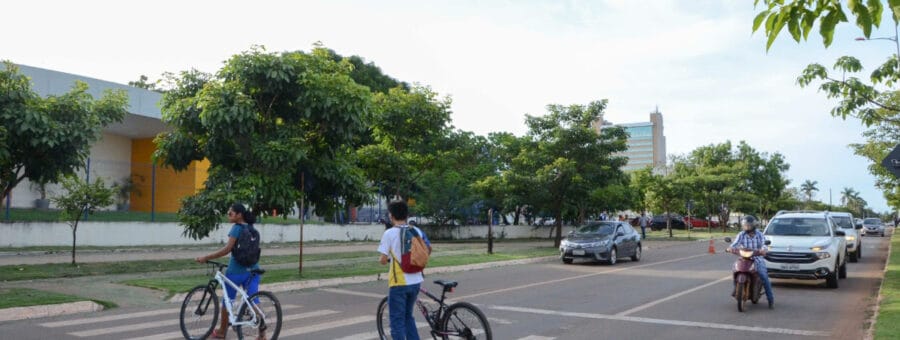 Dia Mundial da Paz no trânsito