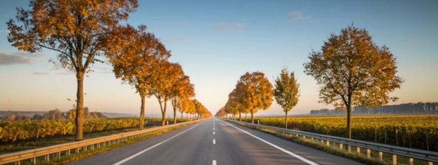 estrada nas férias