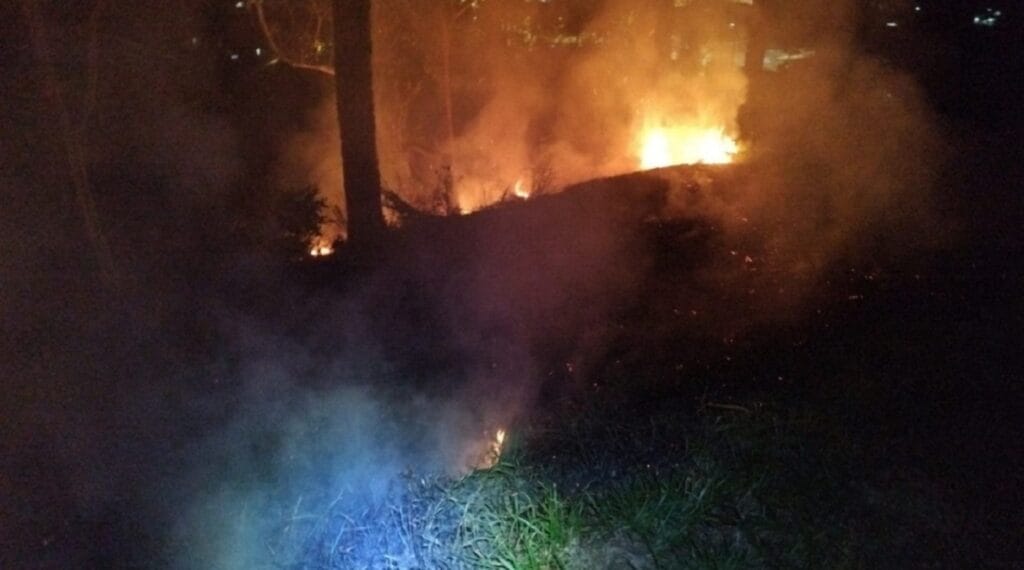 Queimadas nas rodovias: saiba o que fazer ao encontrar sinais de incêndio