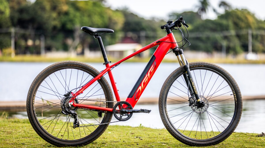 modelo certo escolher bicicleta