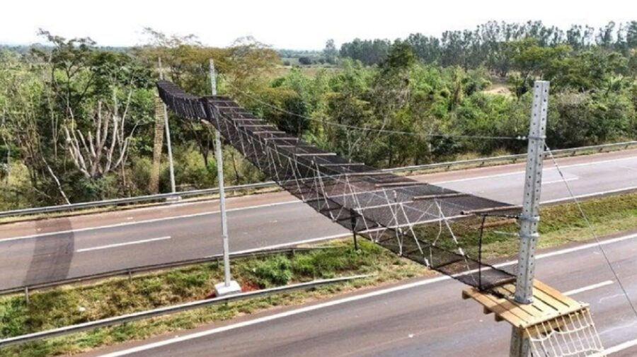 passagem aérea de fauna